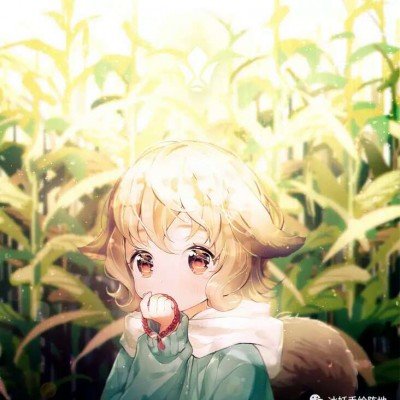 一季度地方举债3.1万亿元花哪儿了